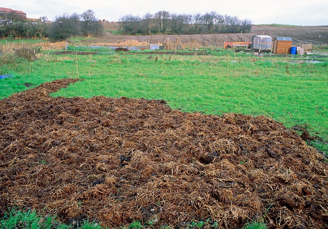 Compost on ground