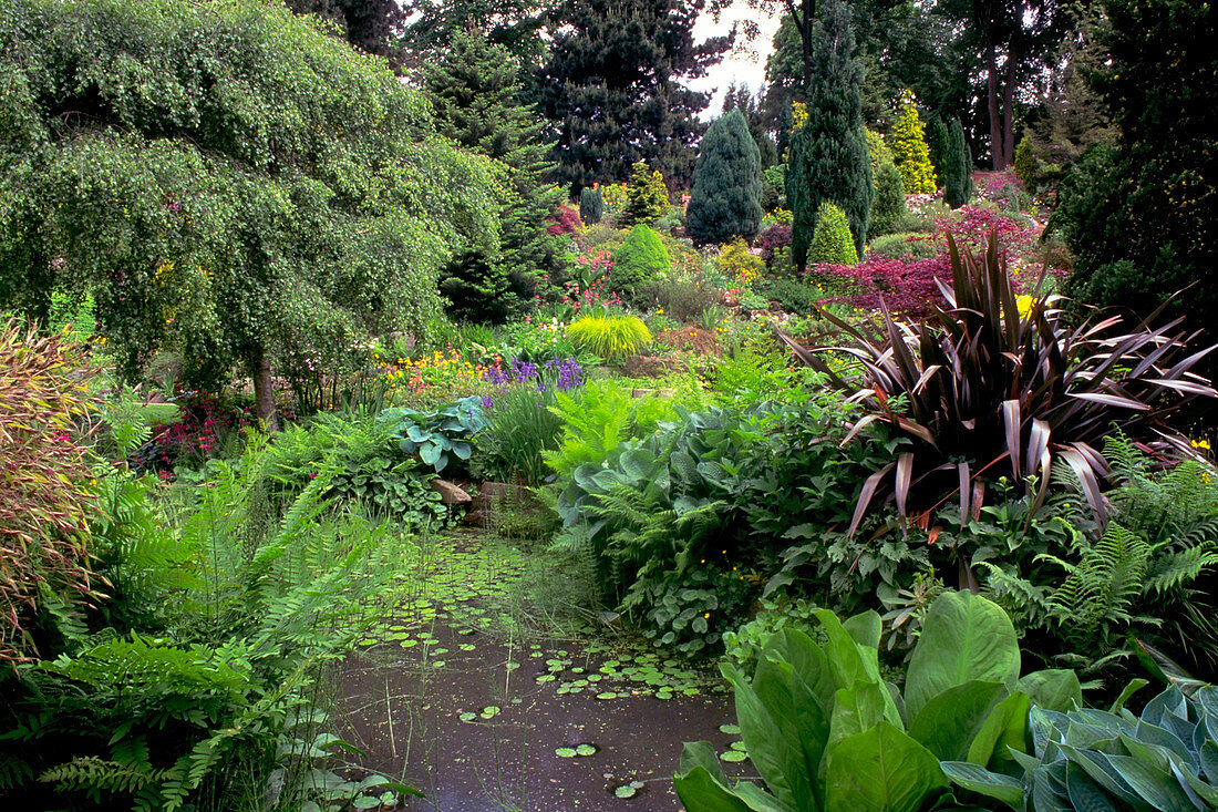 Fletcher Moss Botanical Garden