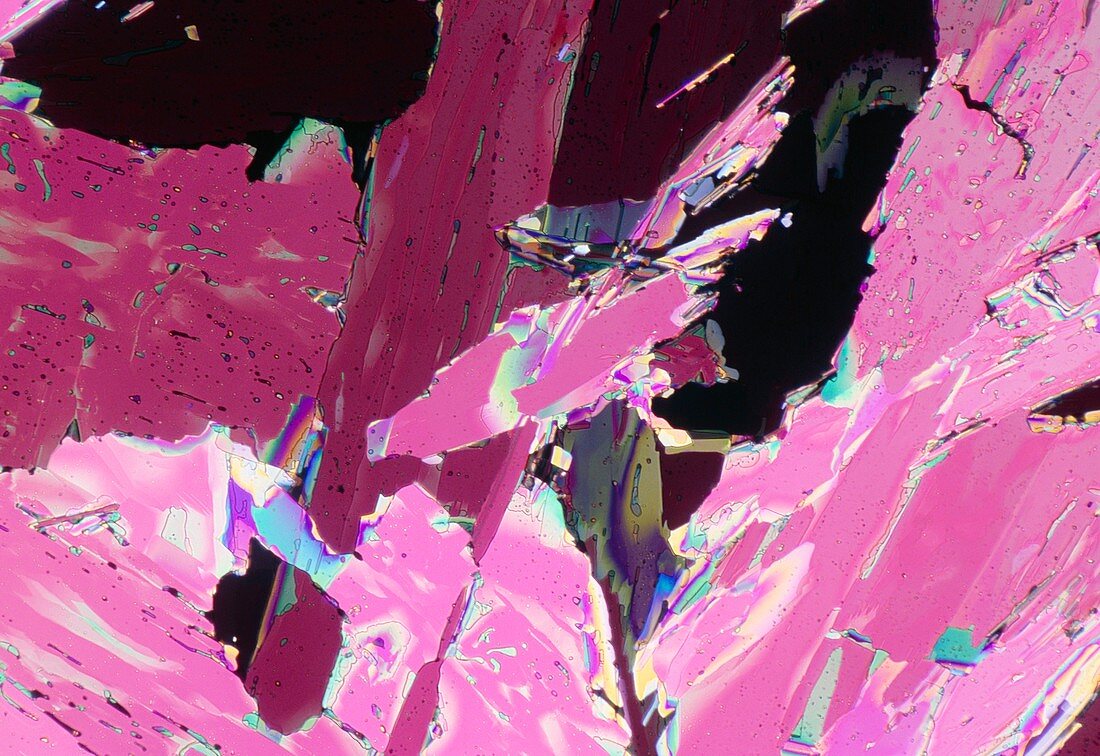 Tetracaine drug crystals