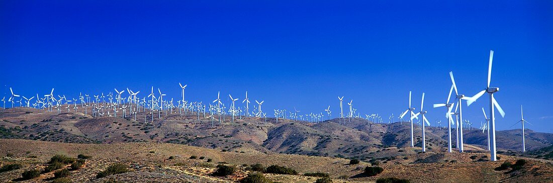 Wind turbines,California,USA