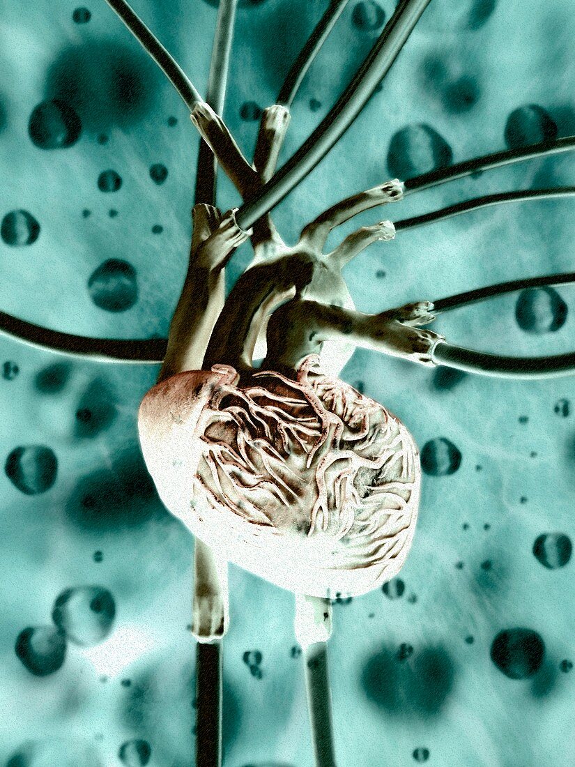 Artificial heart,conceptual artwork