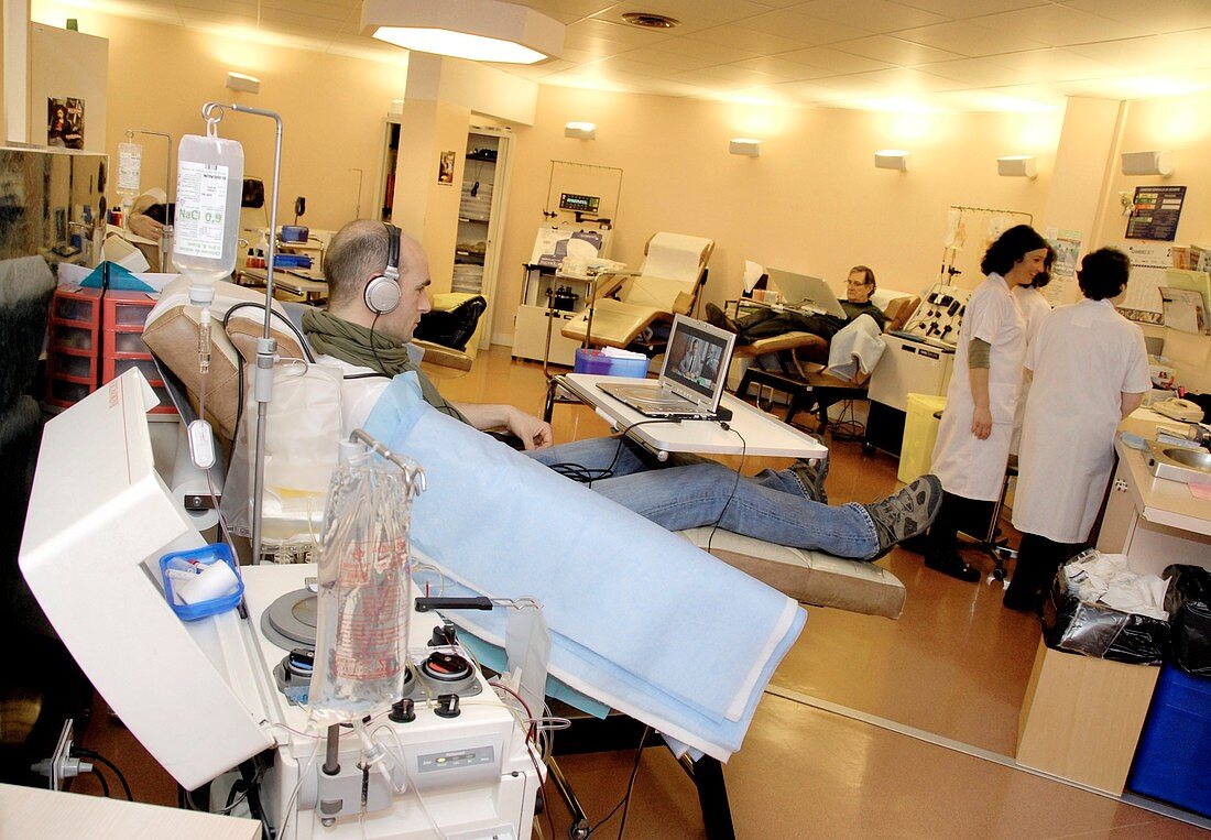 Men donating blood platelets