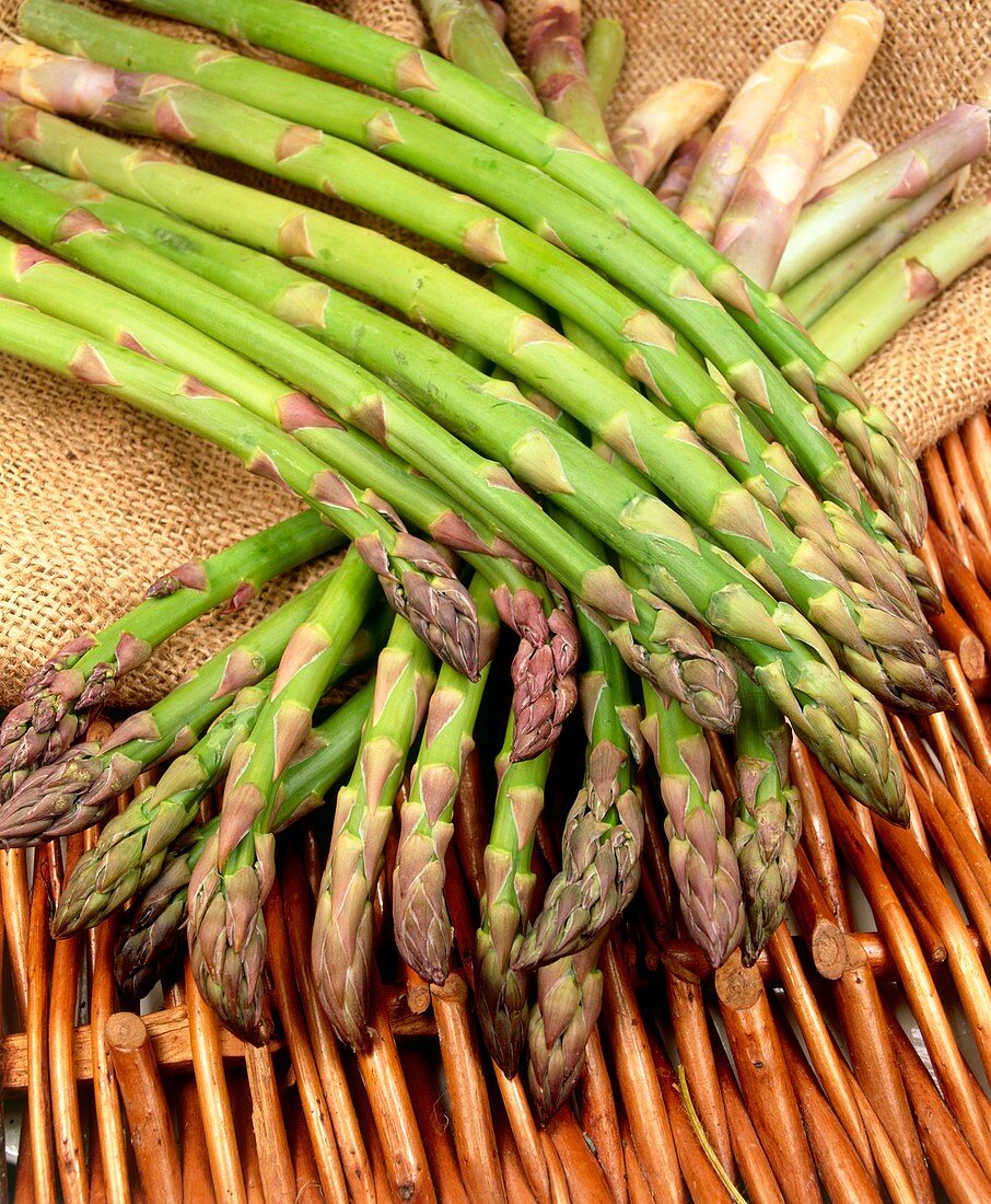 Asparagus spears (Asparagus officinalis)