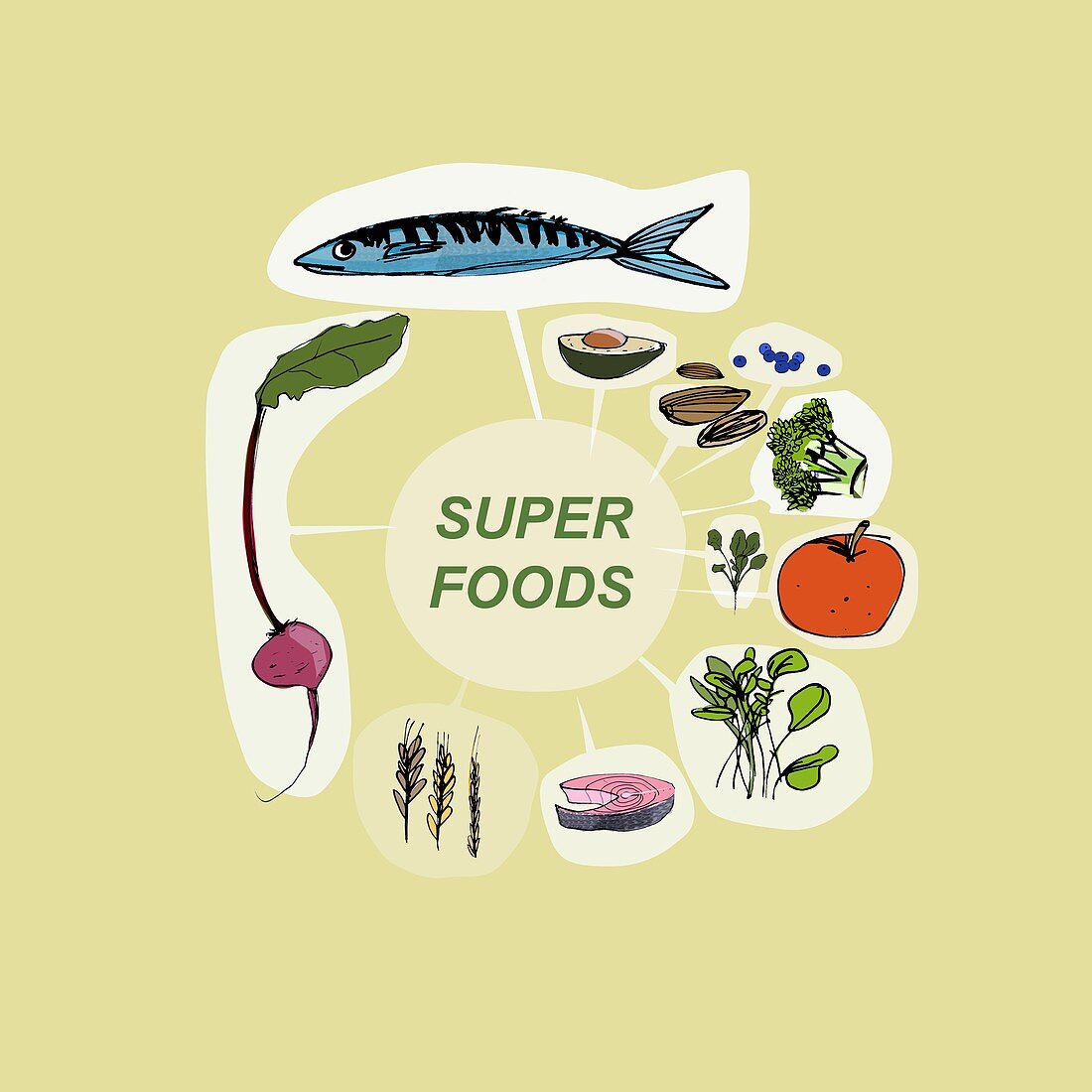 Superfoods,artwork