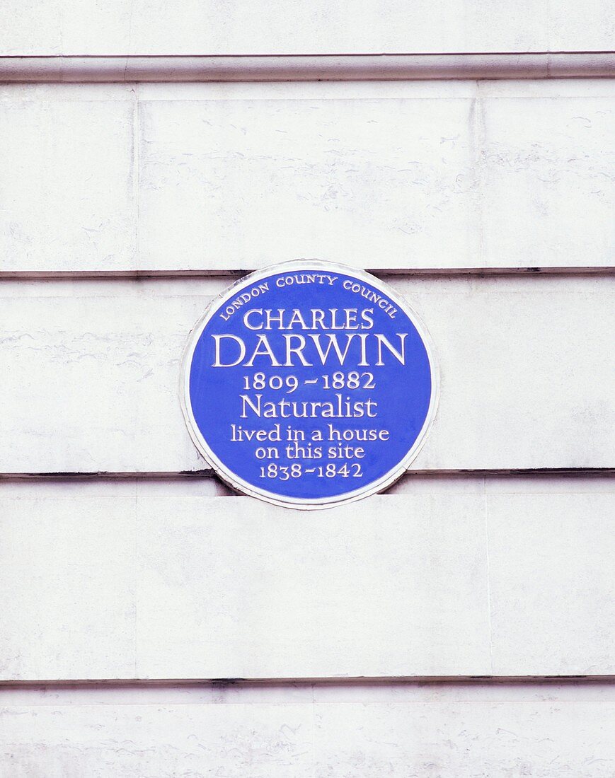 Charles Darwin commemorative plaque