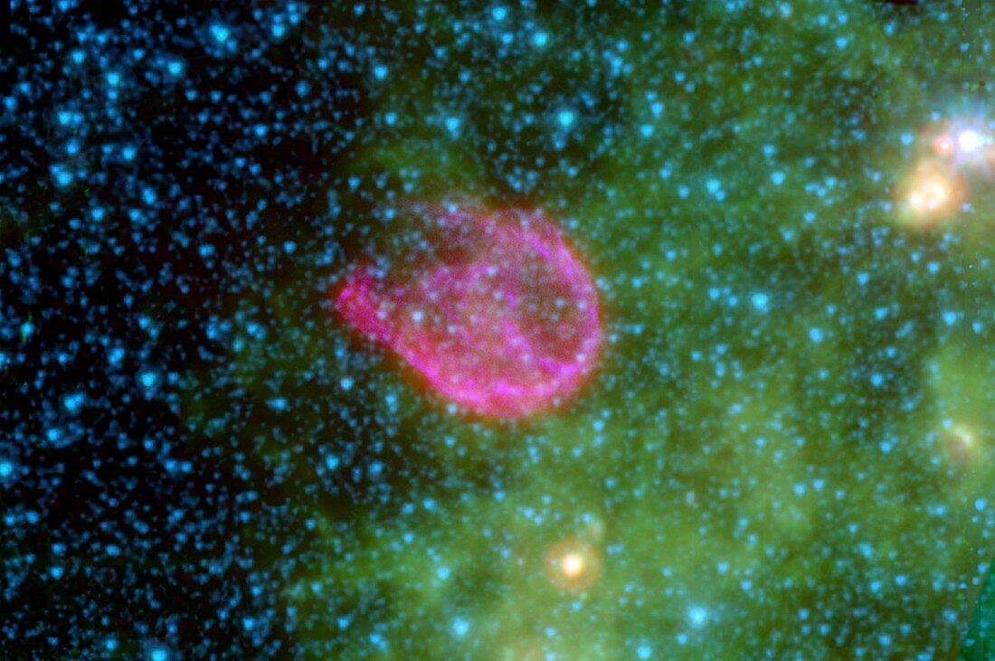 Supernova remnant N132D,infrared image