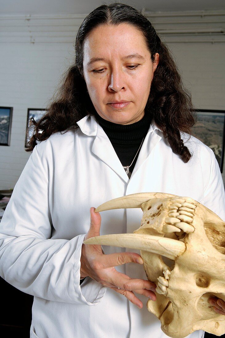 Silvia Gonzalez,fossil researcher