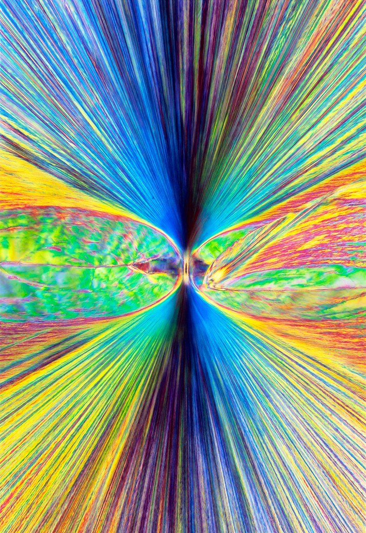 Enkephalin crystals,light micrograph