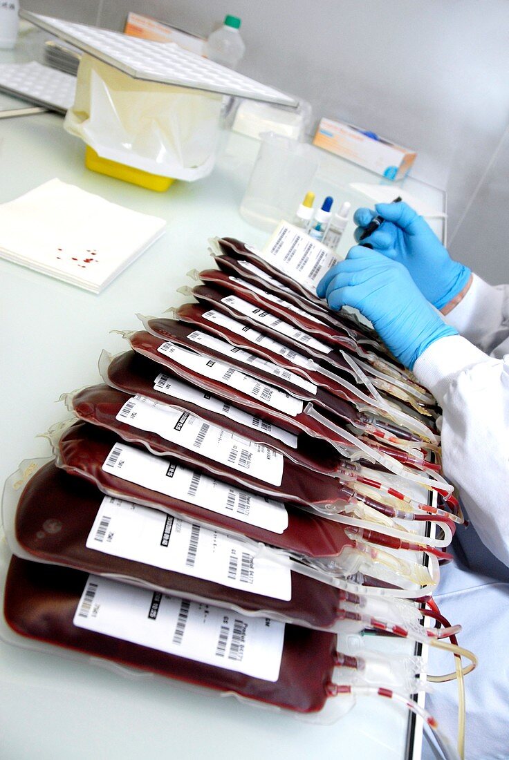 Blood group identification