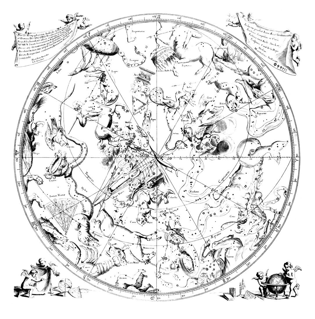Southern constellations,1690 artwork