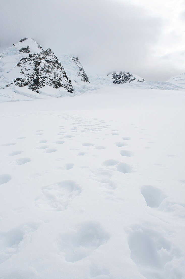 Footsteps in the snow,New Zealand