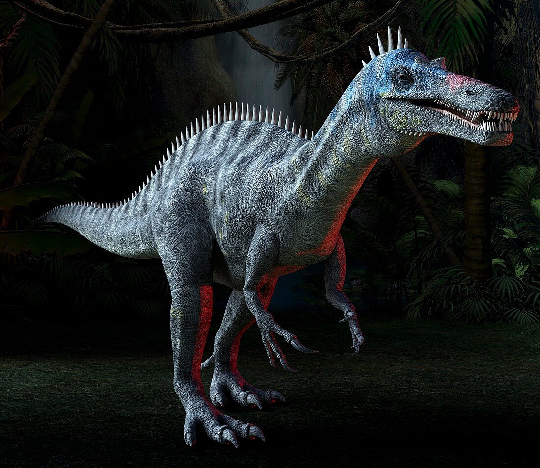 Suchomimus dinosaur,artwork