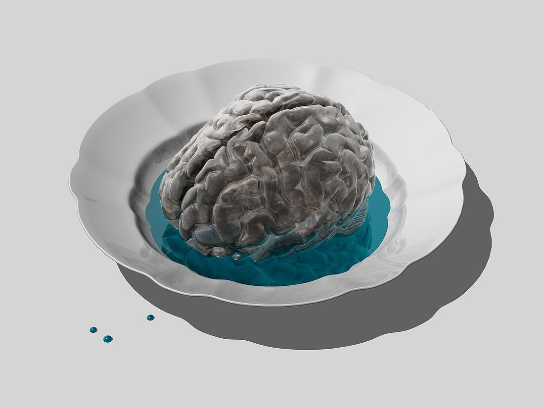 Donor brain,conceptual artwork