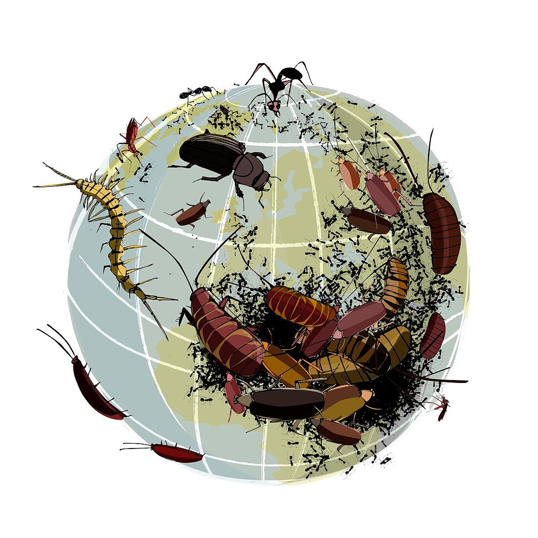 Global insect plague,conceptual artwork