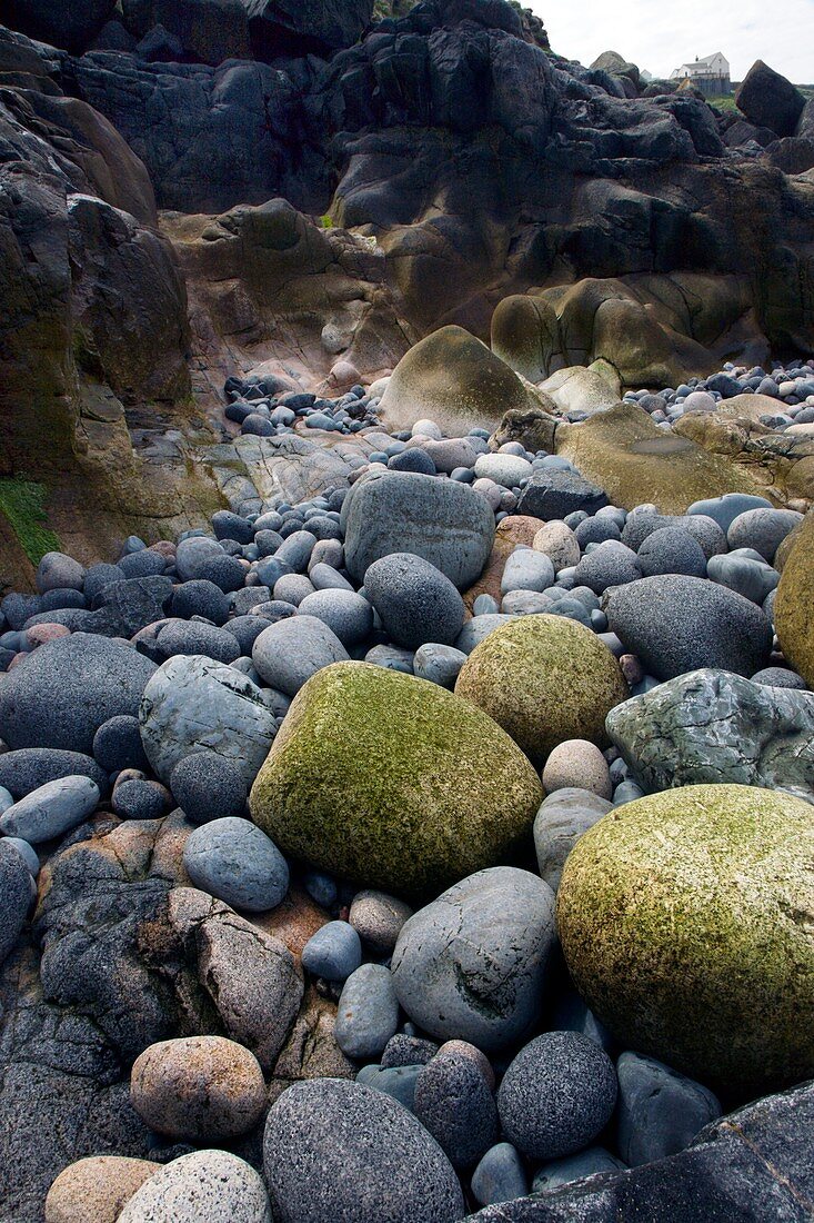 Coastal rocks