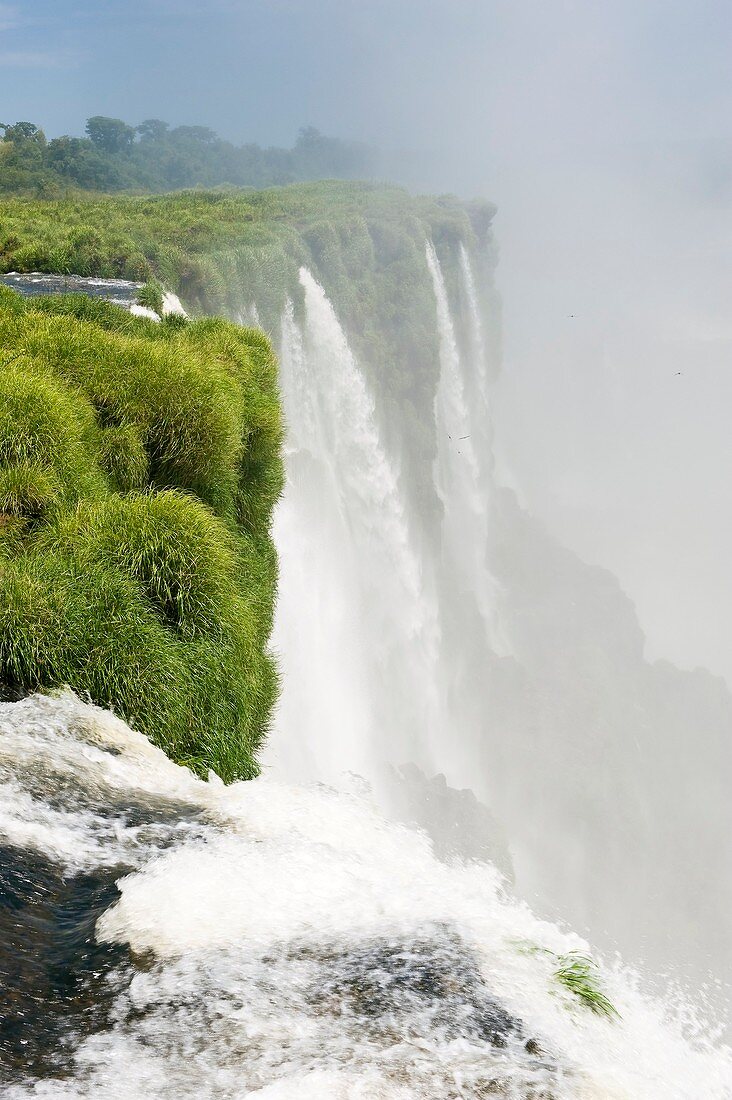 Devil's Throat ,Iguazu Falls,Argentina
