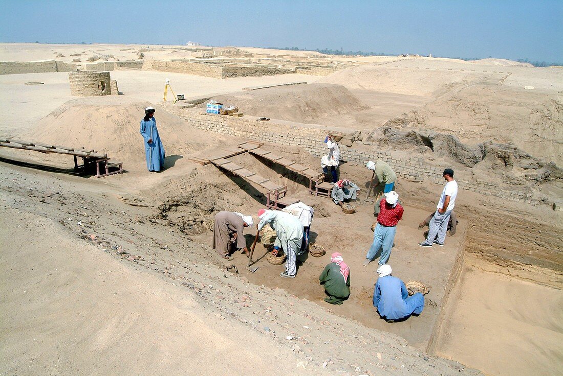 Egyptian archaeology,Al-Fayoum oasis