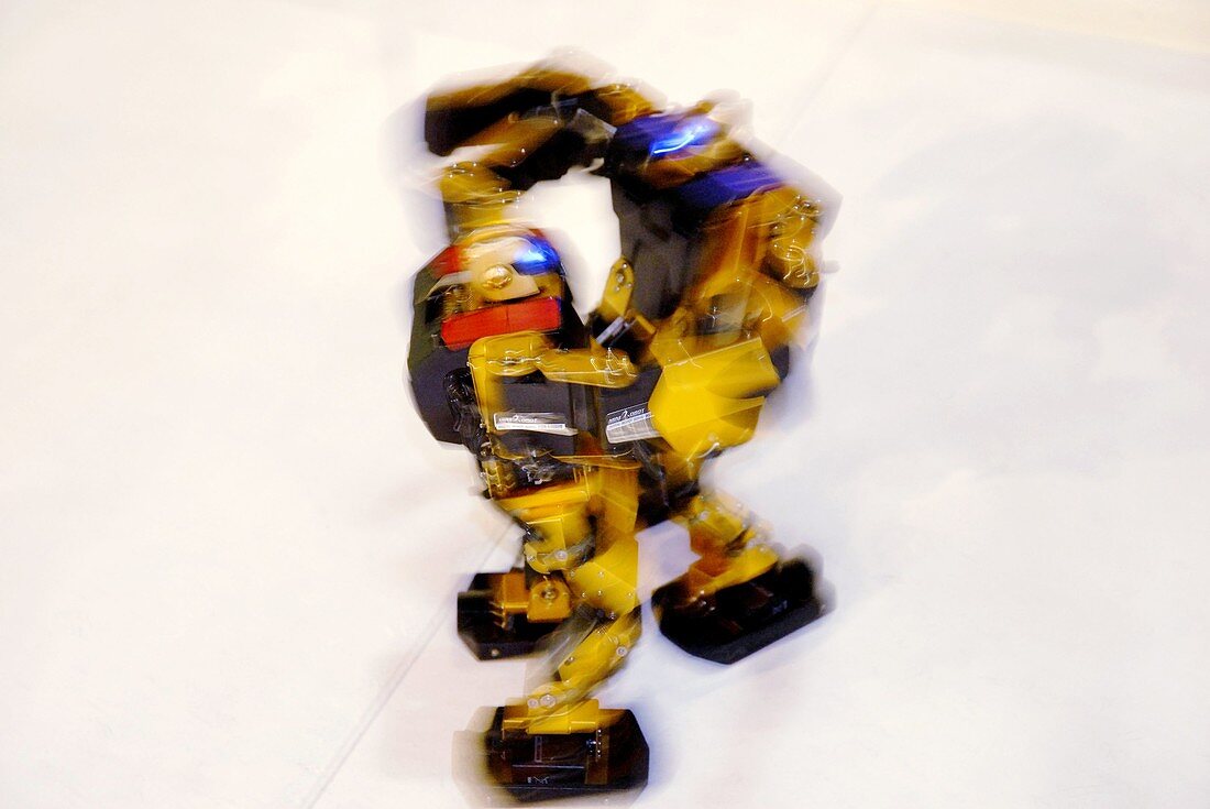 Robonova-I robots fighting