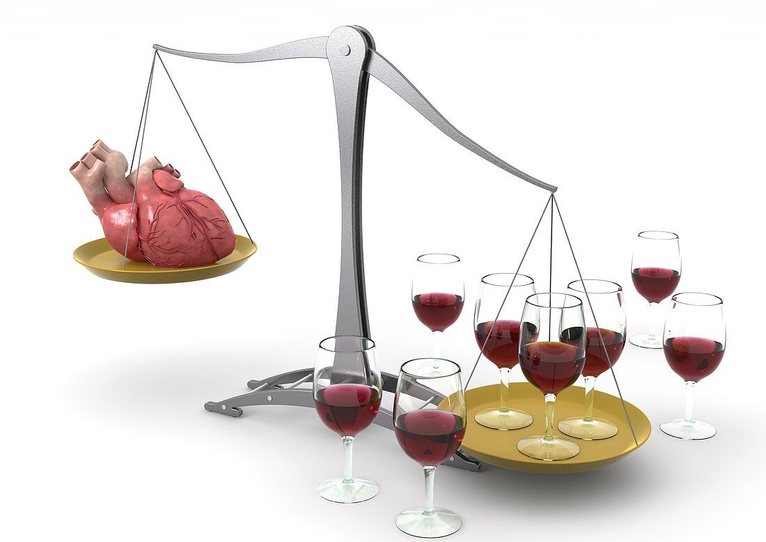 Red wine and heart disease,artwork