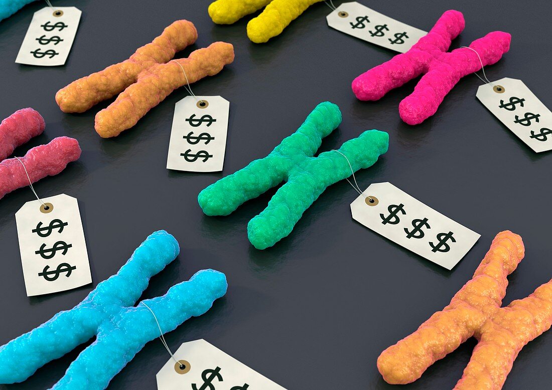 Designer chromosomes,conceptual artwork