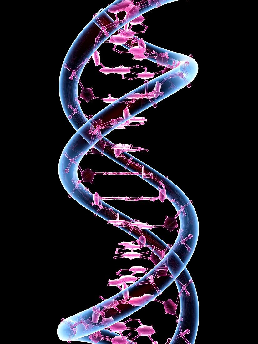 DNA molecule,conceptual artwork