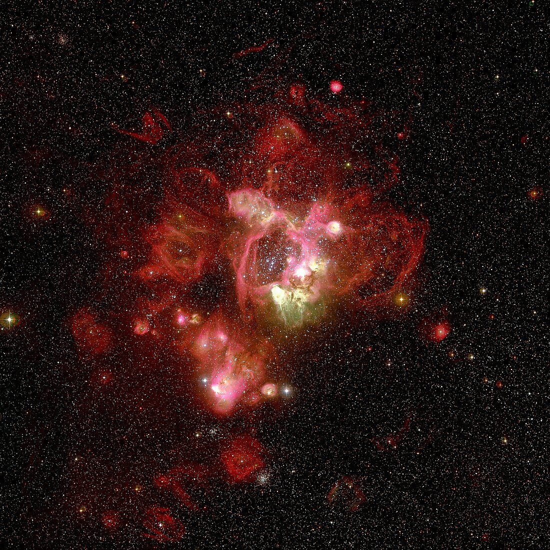 Emission nebula N44