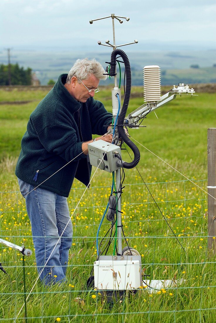 Ozone and plant growth experiment