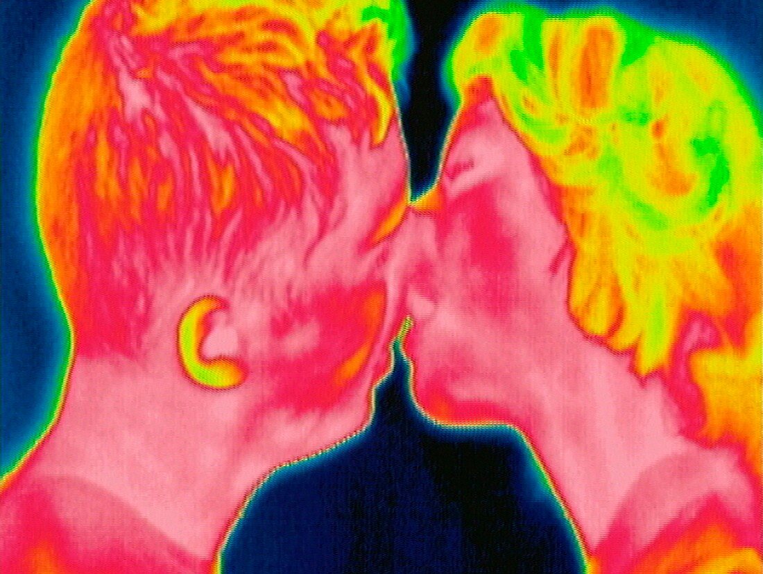 Couple kissing,thermogram