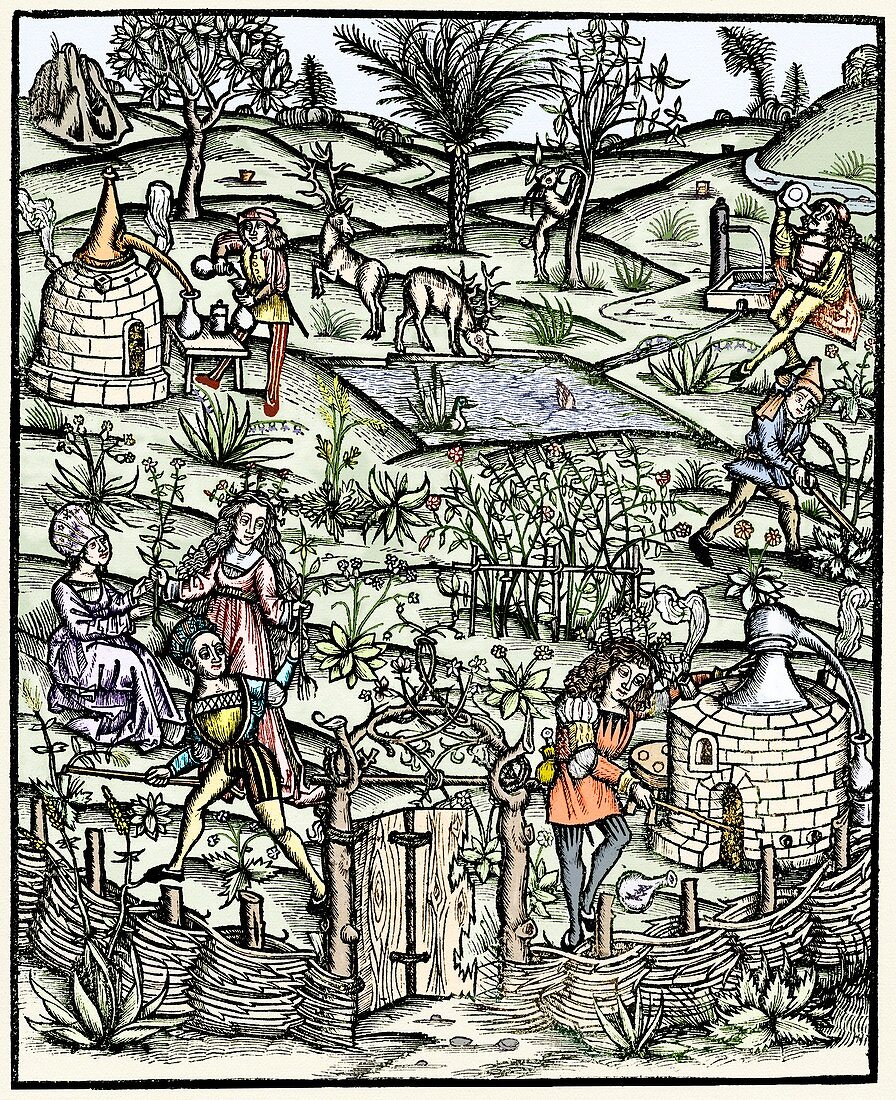 15th century herb garden,artwork