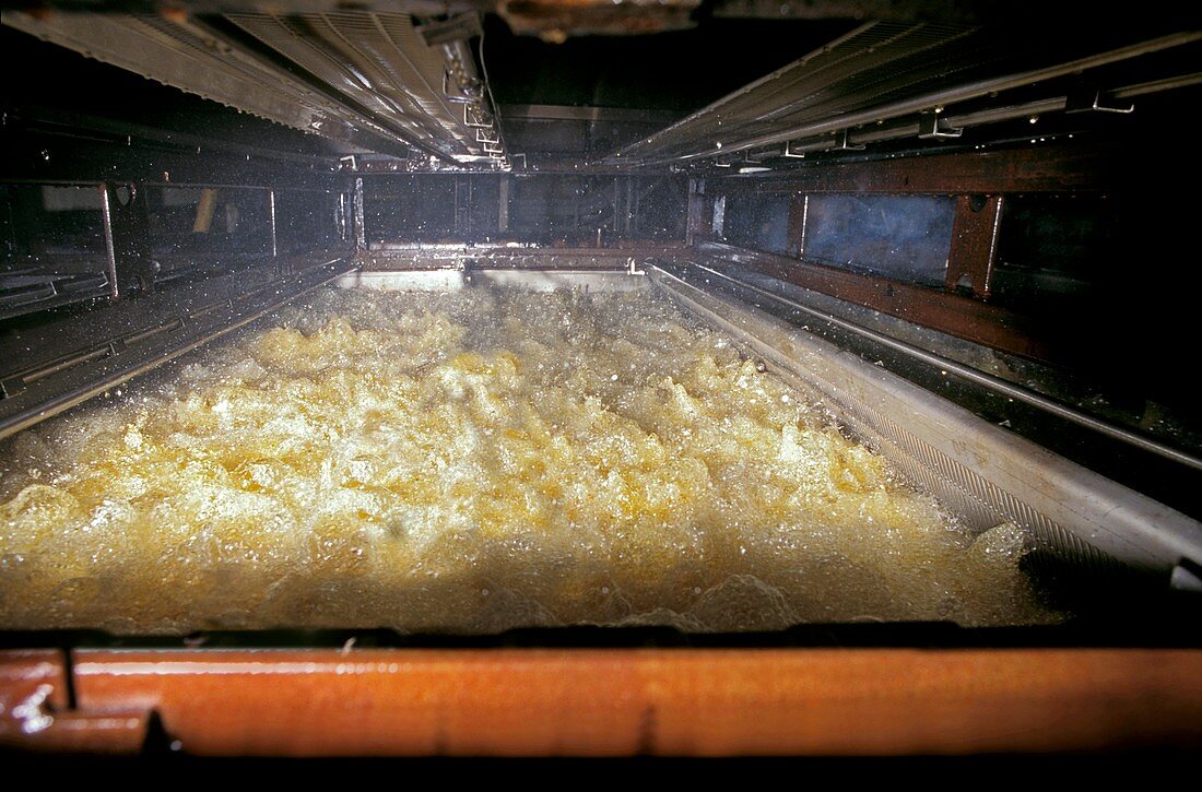Frozen chip factory,frying chips