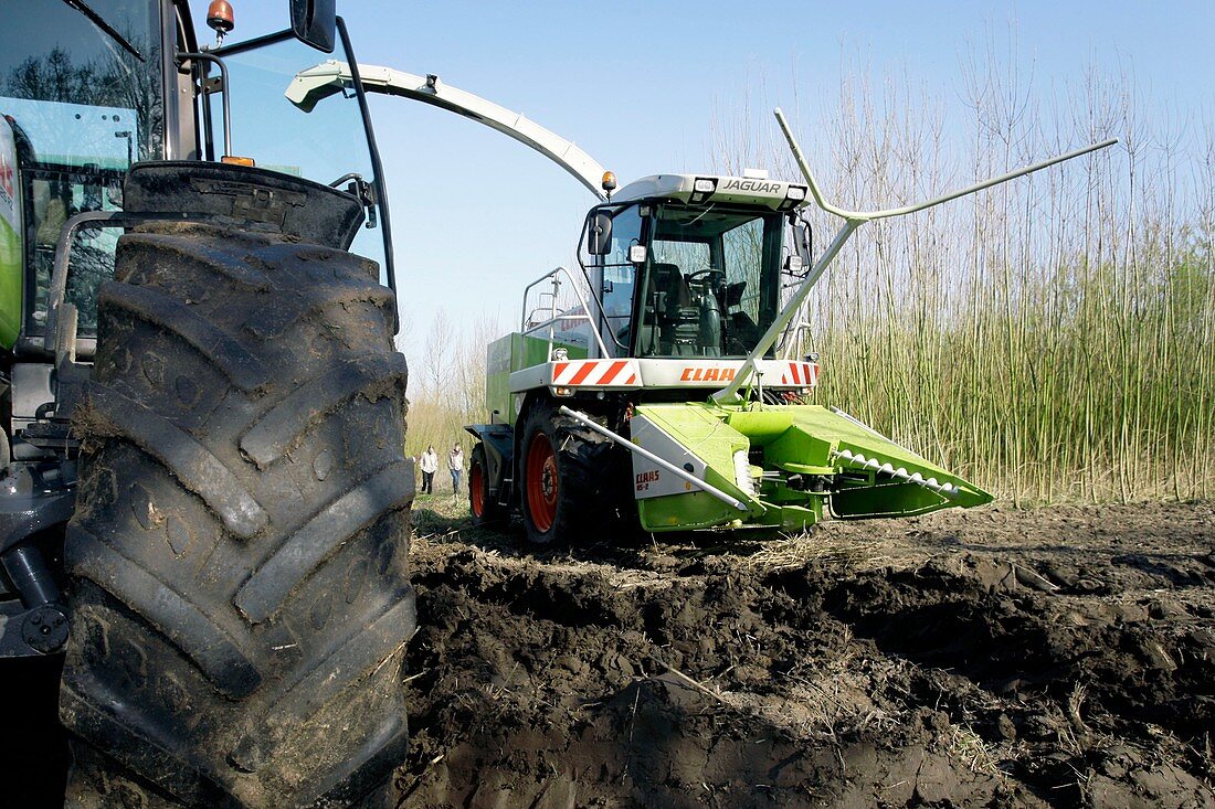 Biomass project,Belgium