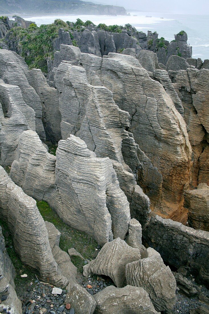The Pancake Rocks of Punakaiki