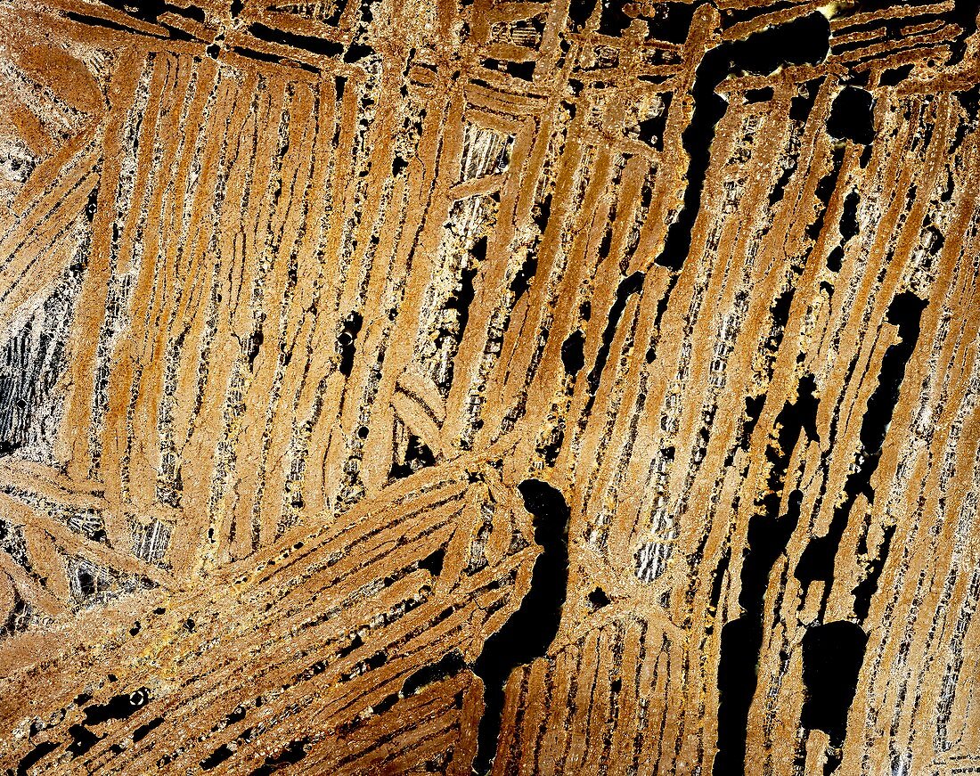 Komatiite rock,light micrograph