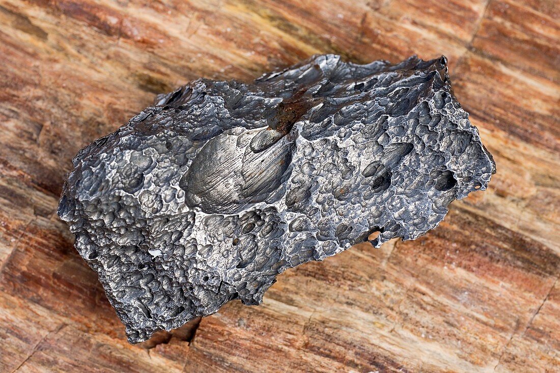 Chita meteorite fragment