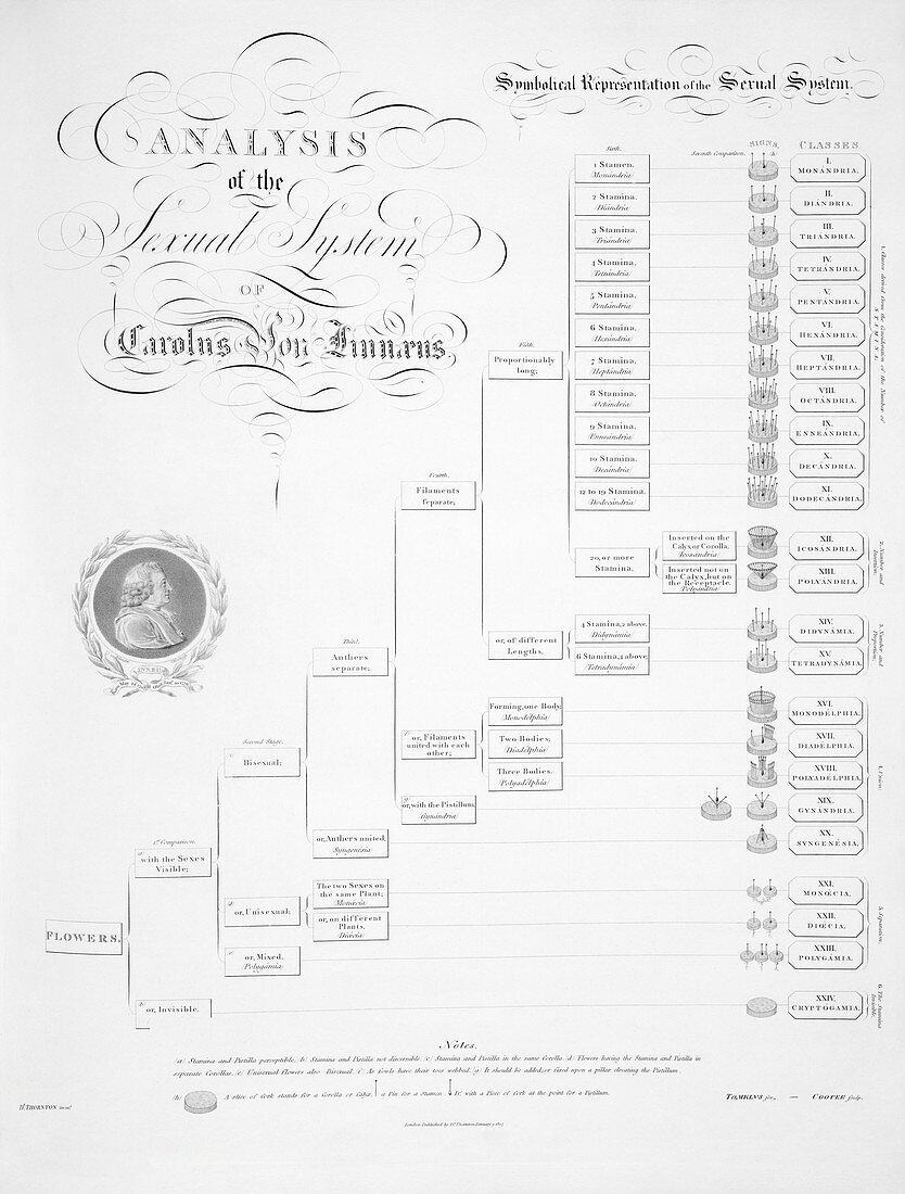 Plant sex system by Linnaeus,1807