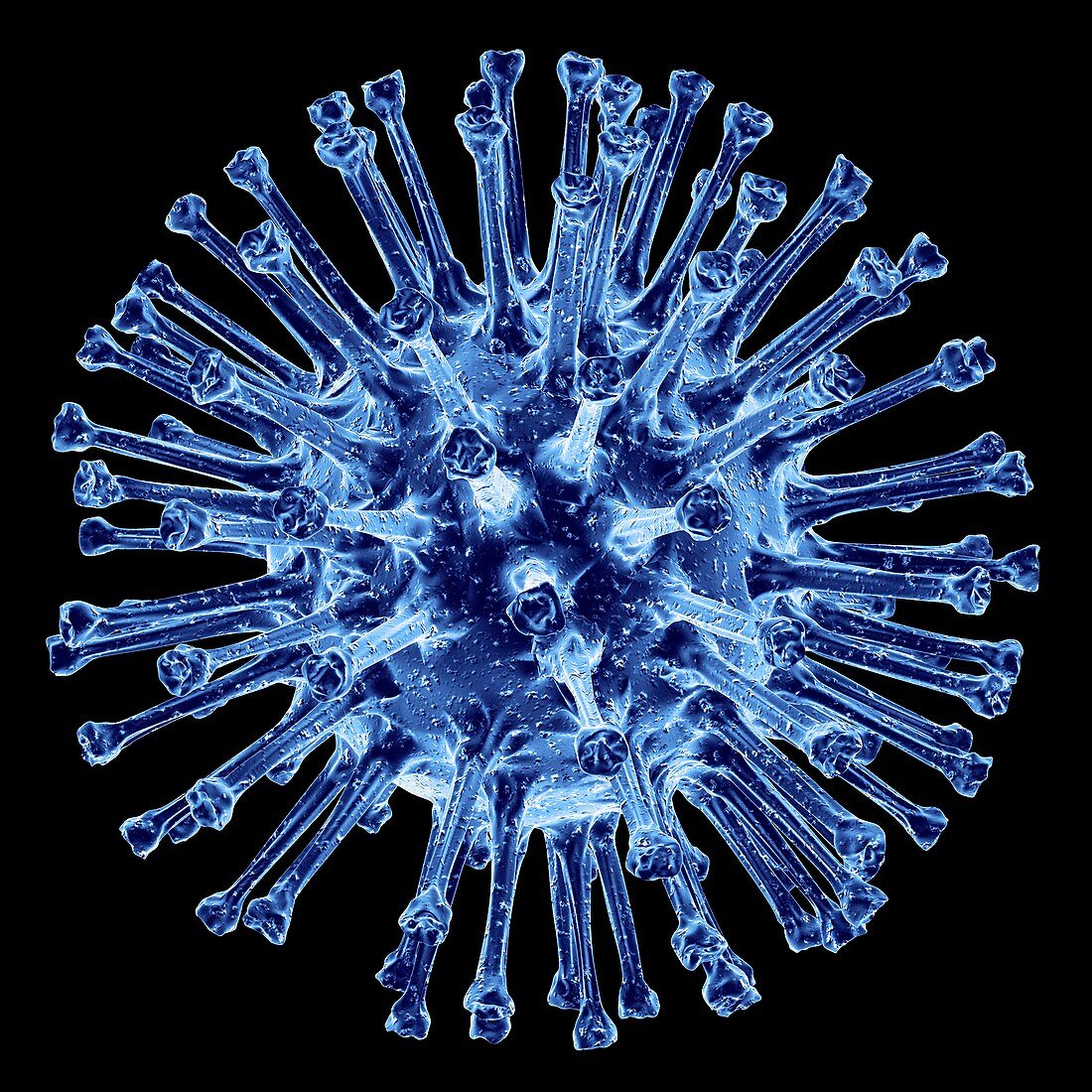 H1N1 flu virus particle,artwork