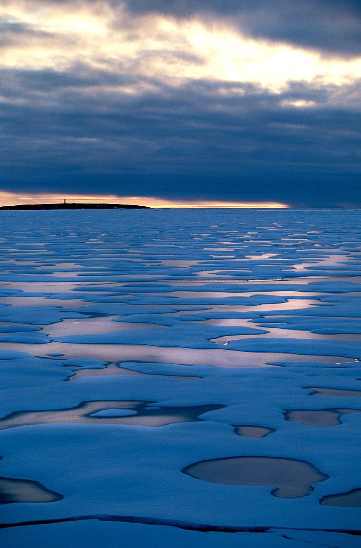 Arctic seascape at sunset