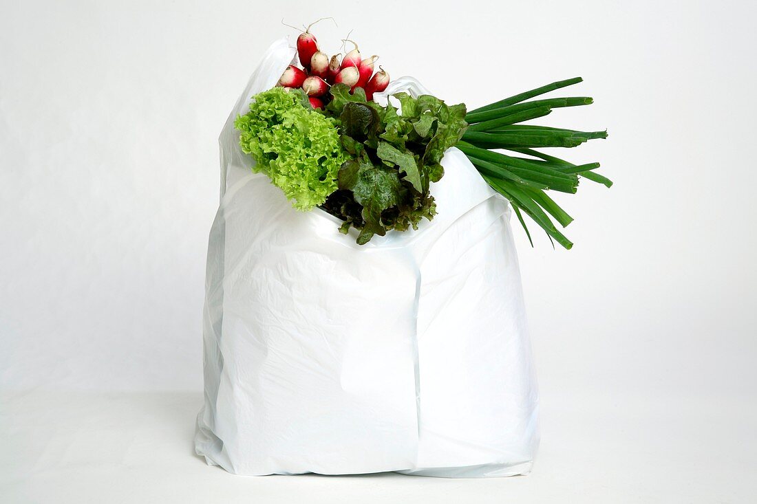 Vegetables in a plastic bag
