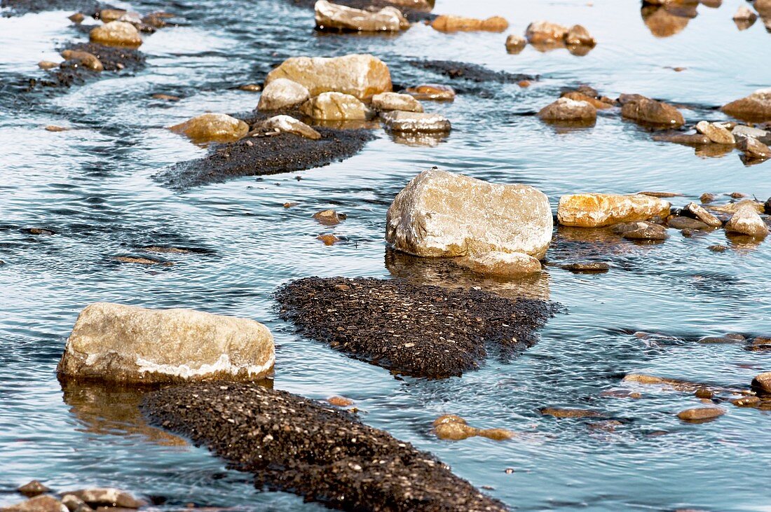 Stones and fine sediment in a creek