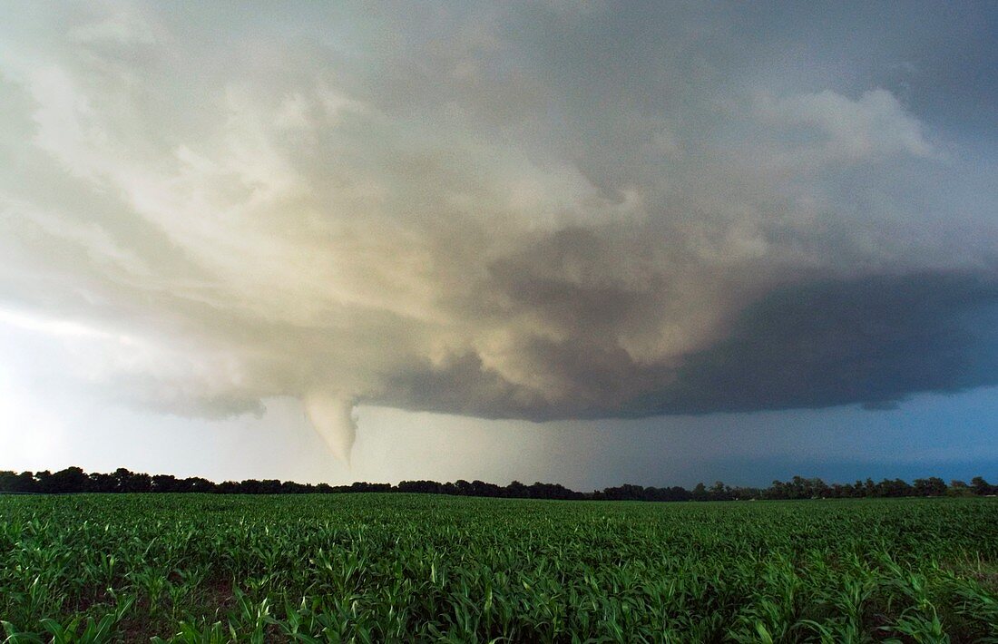 Tornado over fields