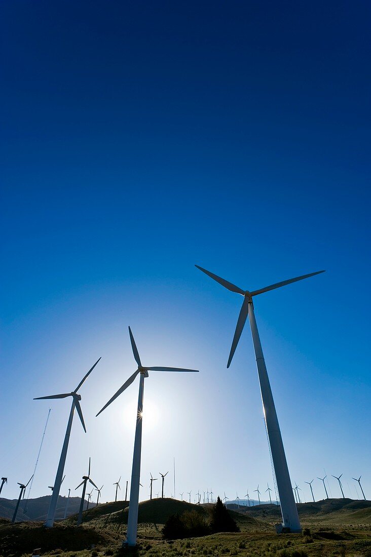 Wind turbines,California,USA