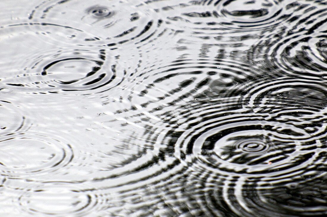 Ripples on a pond