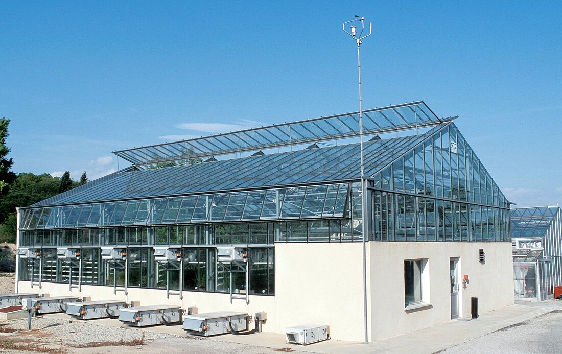 Agricultural research greenhouse
