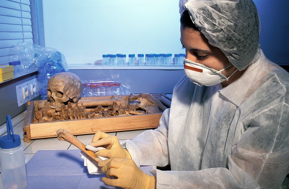 Islamic mummy research,France