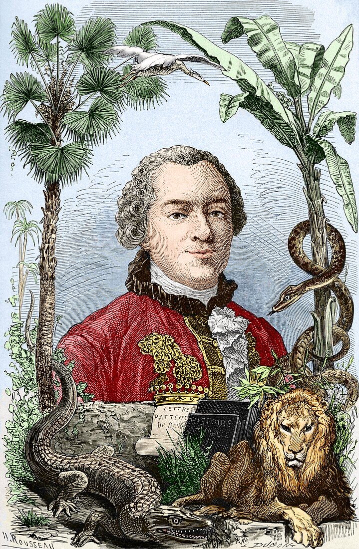 Comte de Buffon,French naturalist