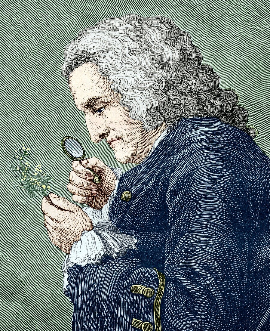 Bernard de Jussieu,French botanist