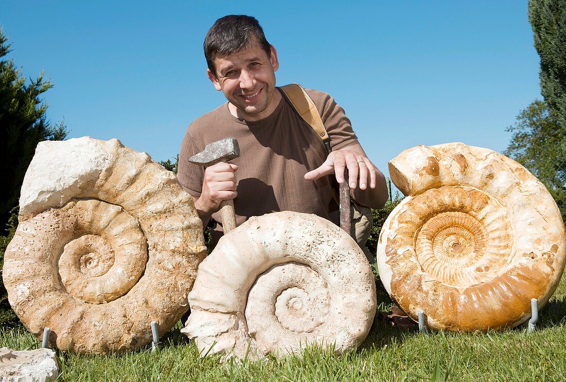 Palaeontologist with ammonites