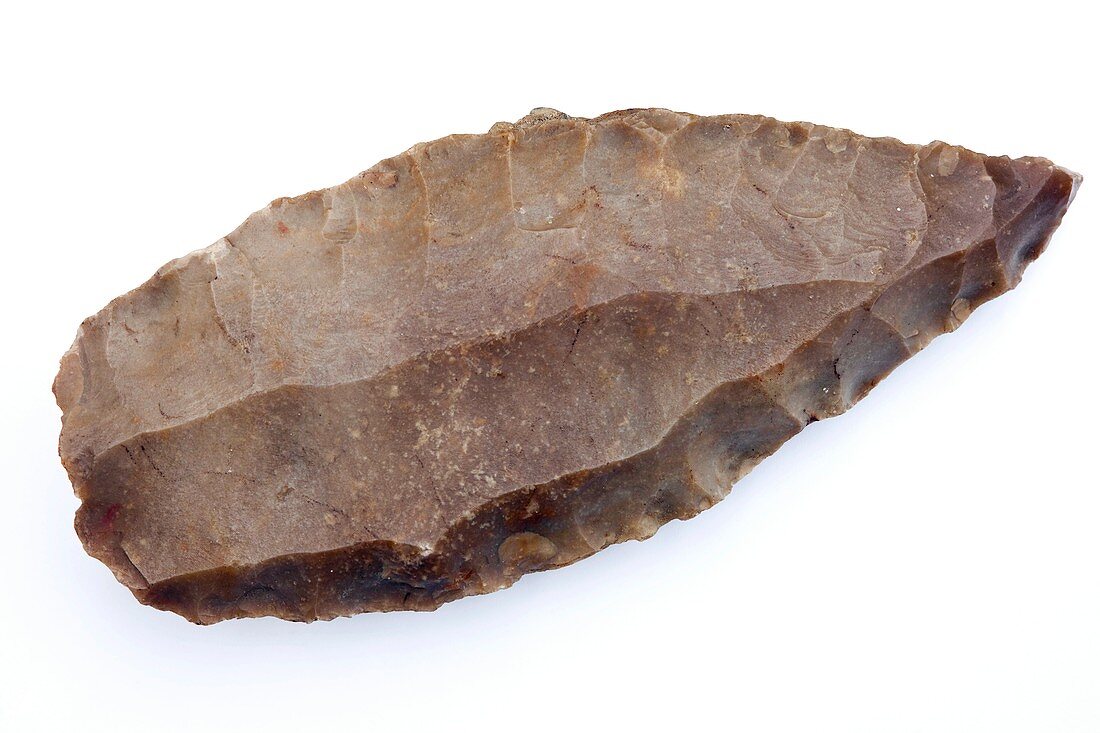 Acheulean stone tool