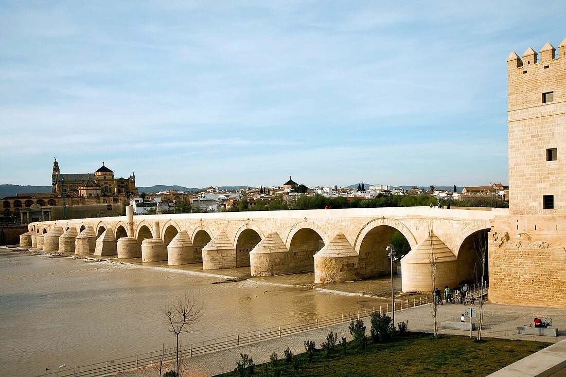 Roman bridge,Cordoba,Spain