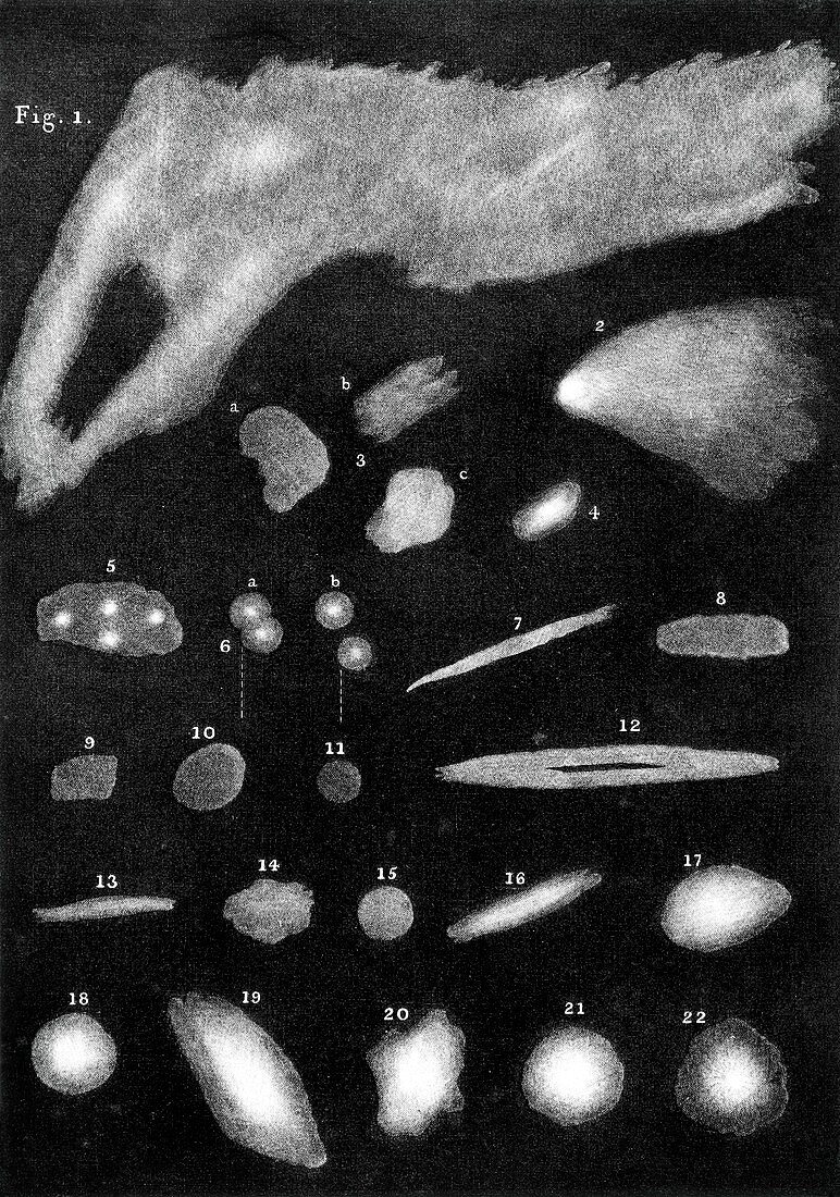 Nebulae drawn by William Herschel,1811
